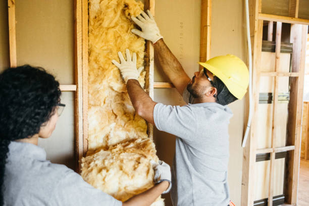 Best Soundproof Insulation Installation  in Pocono Woodland Lakes, PA