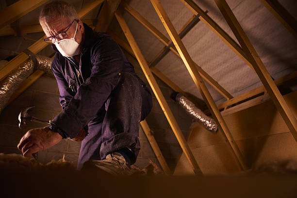 Best Best Insulation Companies  in Pocono Woodland Lakes, PA